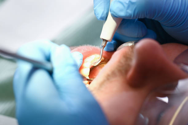 Best Emergency Cosmetic Dentistry in Mount Carmel, TN