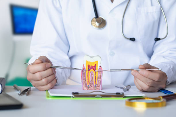 Best Emergency Dentist for Lost Fillings or Crowns in Mount Carmel, TN